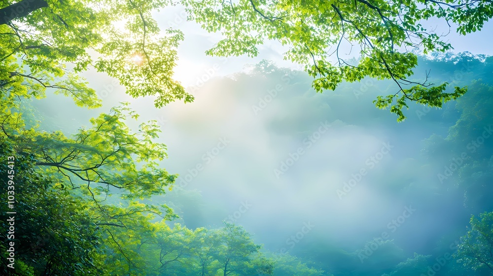The image shows a forest with a bright sun shining through the leaves of trees, creating a hazy and dreamy atmosphere. The image shows a forest with a bright sun shining through the leaves of trees, creating a hazy and dreamy atmosphere.