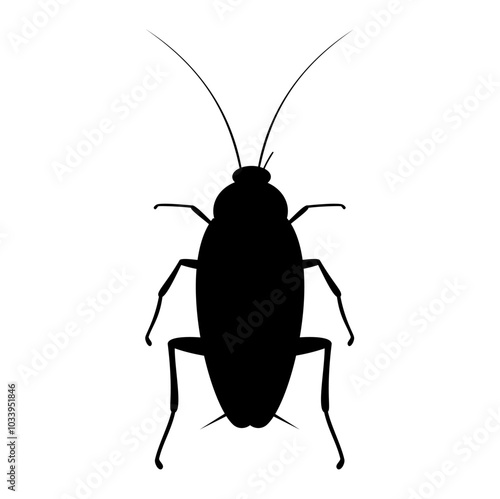 Cockroach animal silhouette. Vector image