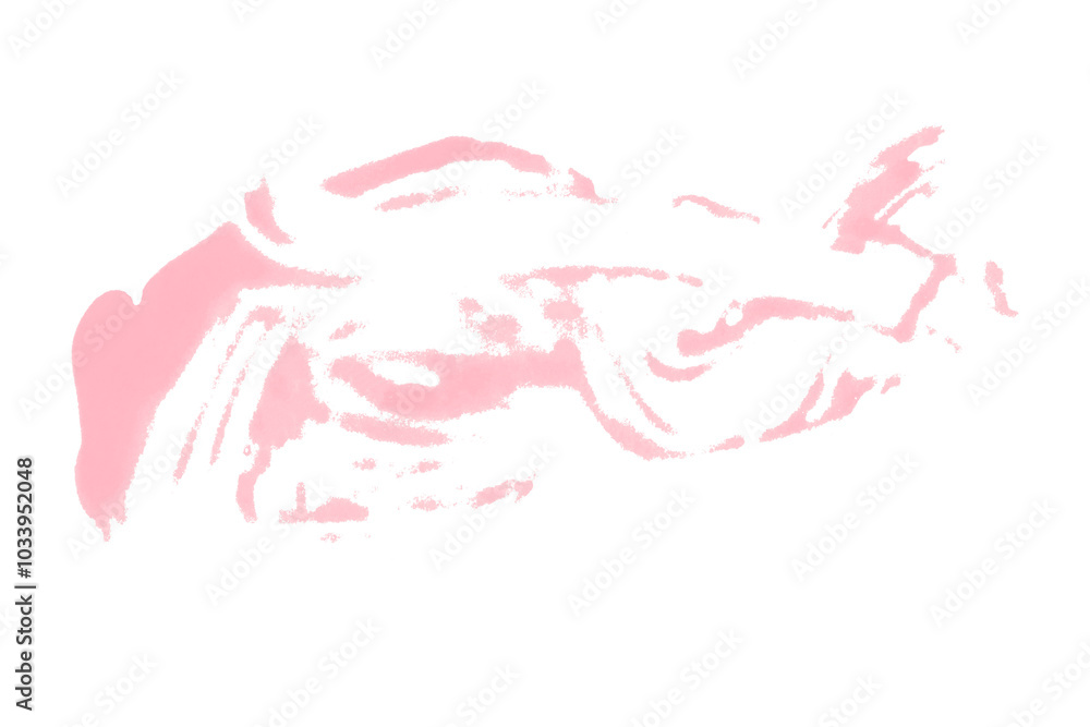 Isolated pink brush stroke on transparent background. Isolated pink brush stroke on transparent background.