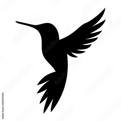 Flying colibri bird silhouette. Vector image