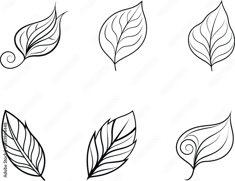 Fototapeta premium Black and White Line Art Leaf Designs