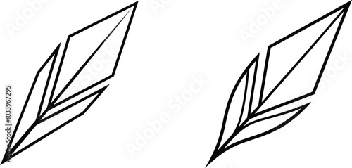 Two Simple Black Line Art Feathers