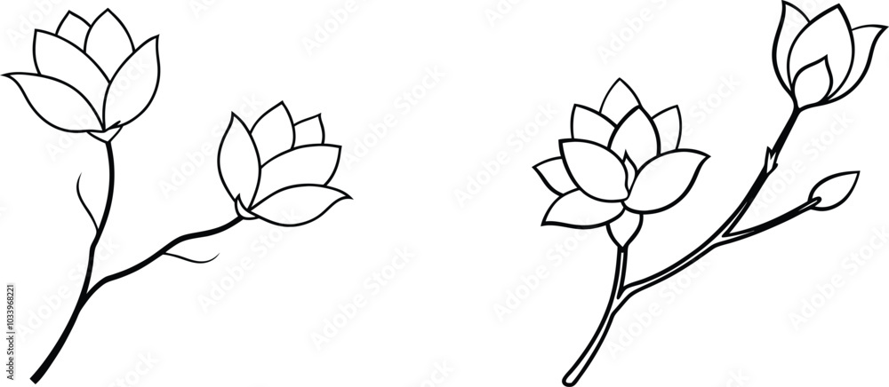 Obraz premium Simple Line Drawing of Magnolia Flower Branch