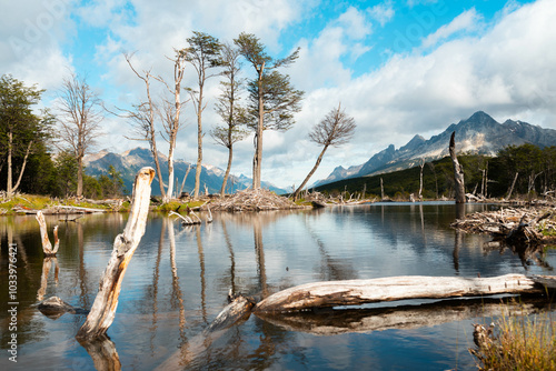 Paisajes de Tierra del Fuego, Argentina, durante la temporada de verano. 