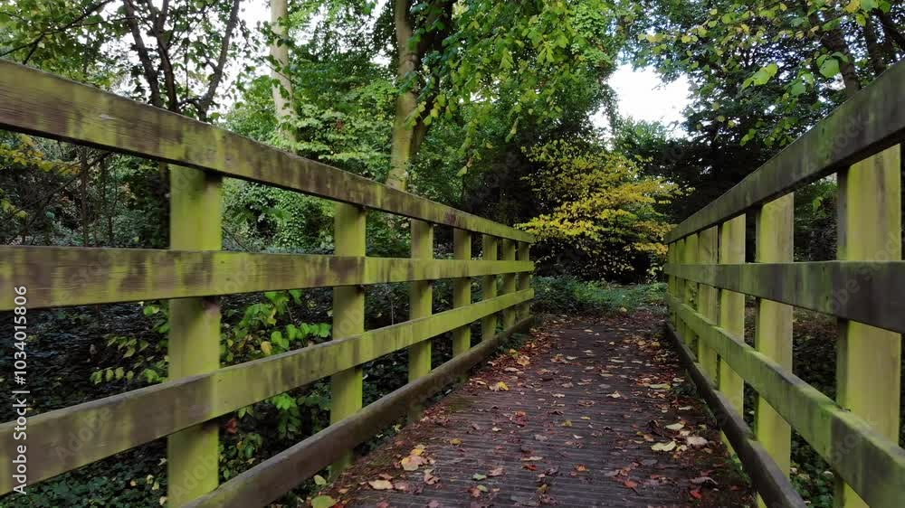 Crossing wooden bridge in Autumn park 