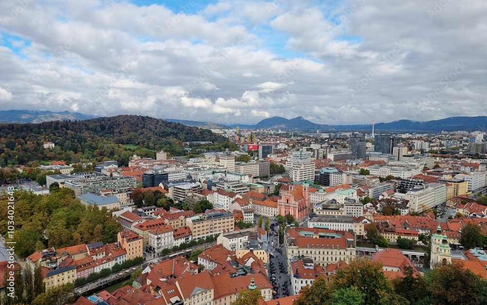 Obraz premium Ljubljana