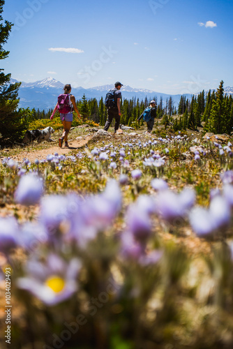 Hiking Ptarmigan Peak, Summit County, Colorado photo