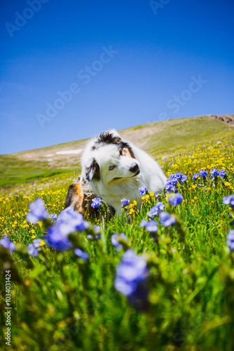 Hiking in Colorado's Front Range photo