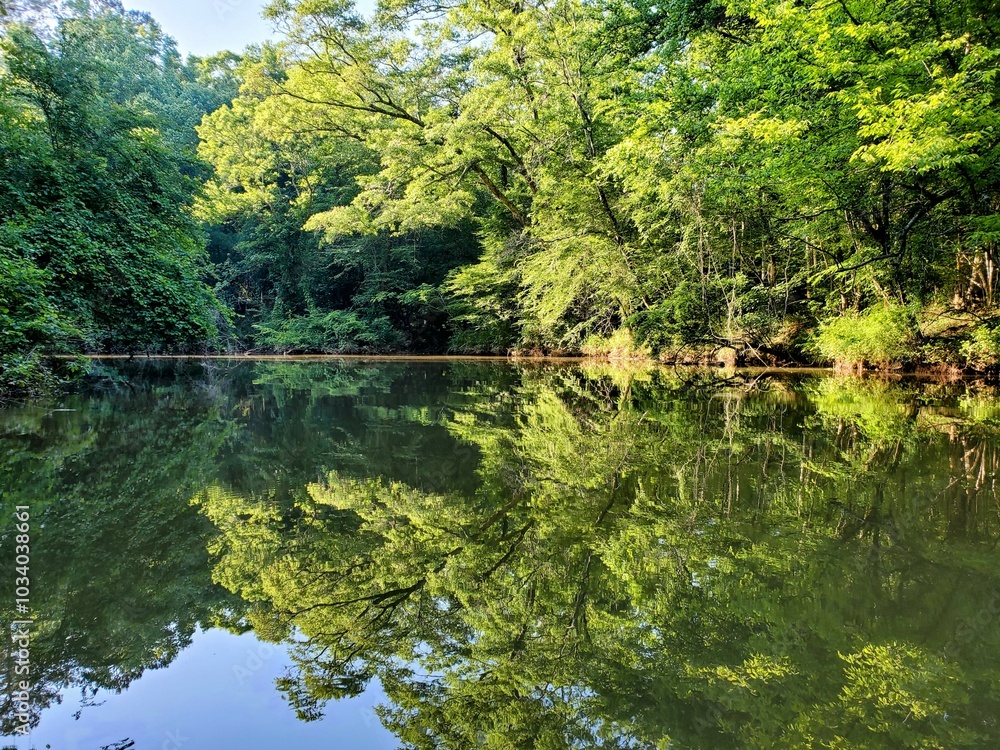 lake in the woods on a sunny day lake in the woods on a sunny day
