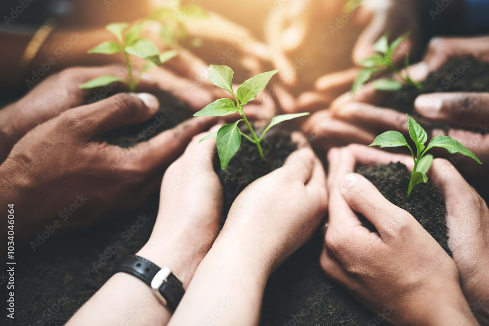 © JordaanExams/peopleimages.com - People, teamwork and hands with plants in soil for sustainability, eco friendly charity project or climate change. NGO volunteer group, leaf growth and ecology outdoor for environment accountability