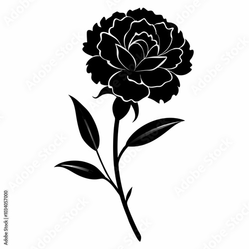 Carnation silhouette vector illustration on white background