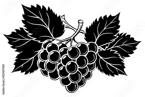 bunch of grapes illustration