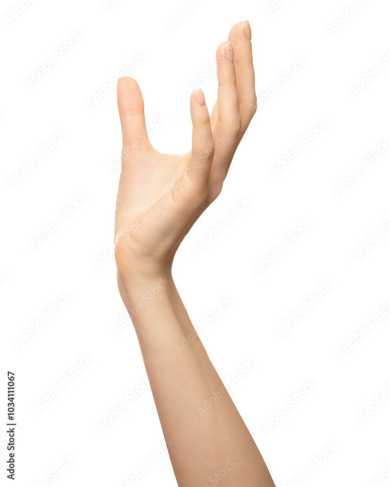 A woman's hand is outstretched, palm facing upwards, with fingers slightly curled, as if offering or receiving something. Hand holds an invisible object is isolated against a white background A woman's hand is outstretched, palm facing upwards, with fingers slightly curled, as if offering or receiving something. Hand holds an invisible object is isolated against a white background