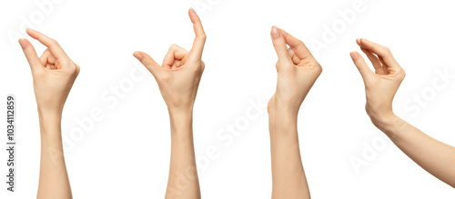 Obraz na płótnie A woman's hand, isolated against a white background, is shown in four different
