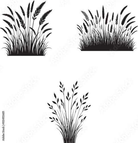 Nature Grass Silhouette Vector Collection