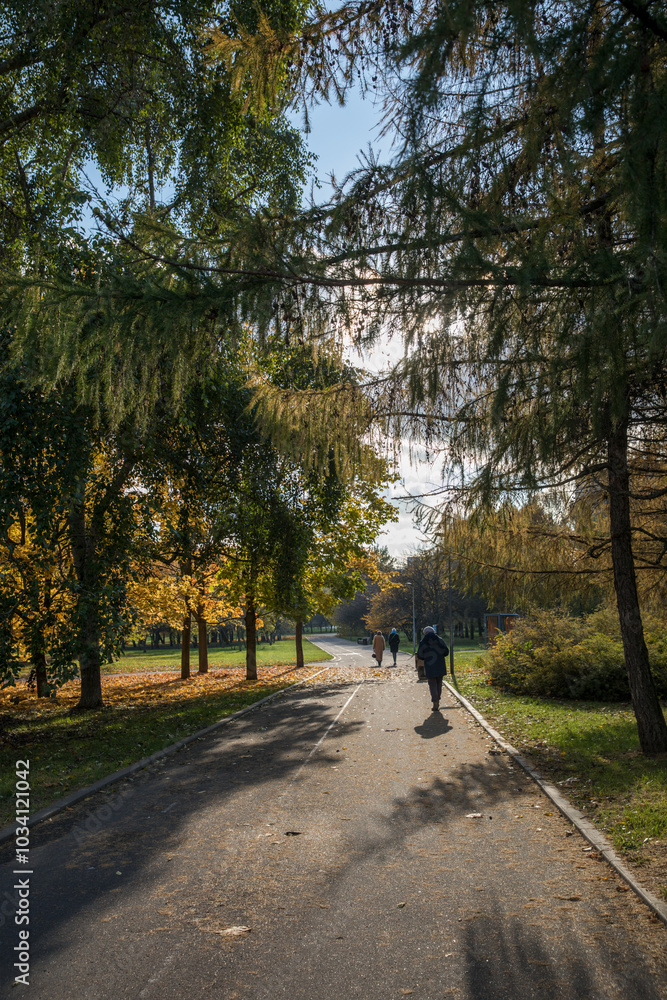 Walk in the park on a bright sunny autumn day Walk in the park on a bright sunny autumn day