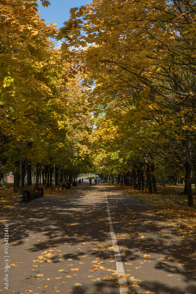 Naklejka premium Walk in the park on a bright sunny autumn day