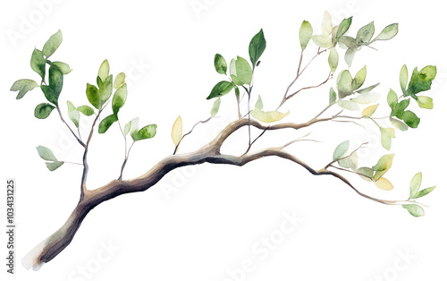 Wallpaper Mural PNG Watercolor branch with green leaves Torontodigital.ca