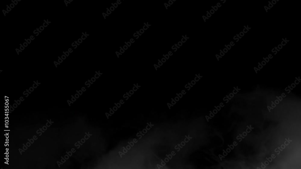 Metaphysical Mist: The Skull's Foggy Contemplation Metaphysical Mist: The Skull's Foggy Contemplation