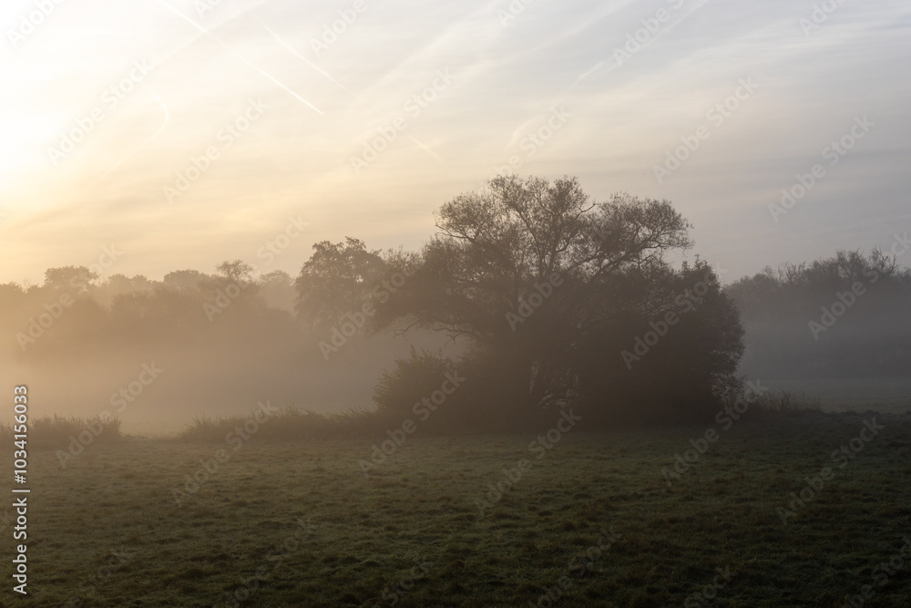 sunrise on a foggy morning in the valley sunrise on a foggy morning in the valley