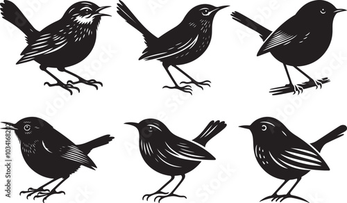 Schilderij op canvas Creative wren vector illustration design