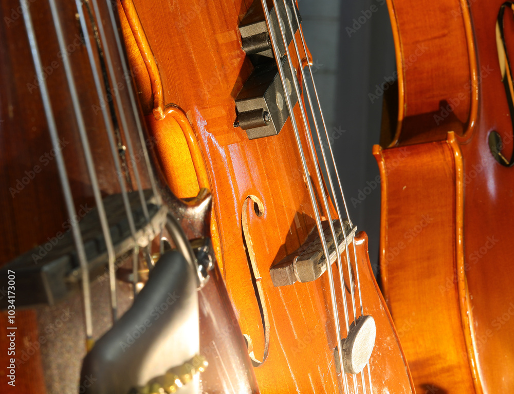 detail of violins with strings and other string instruments for sale in the musical instrument shop detail of violins with strings and other string instruments for sale in the musical instrument shop
