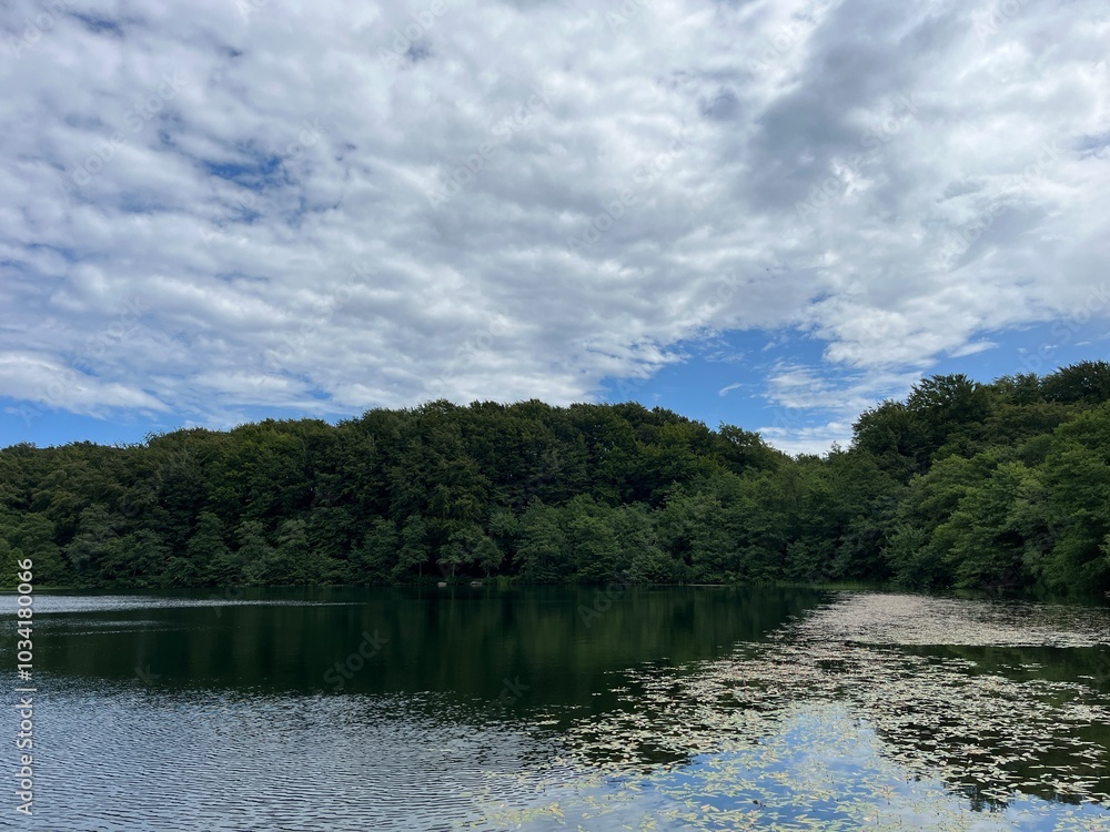 lake in the forest