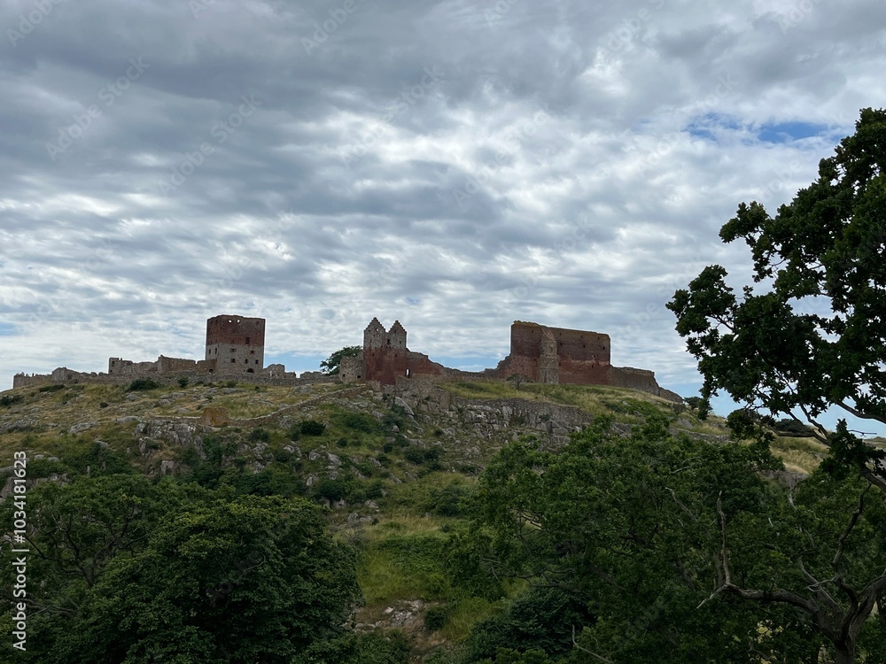 Obraz premium old castle in the mountains