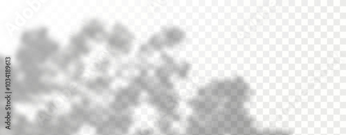 Glare from the sun's rays on the wall. Blurred shadows from leaves and plants in the room. Soft overlay of natural light. 