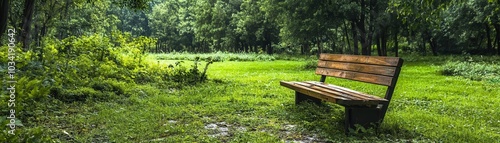 Wooden bench in a green forest setting.