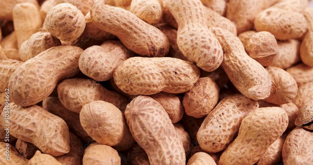 Organic Ground Peanuts with Shells Rotating Background. Raw healthy ingredient Concept. Vegan Food Organic Ground Peanuts with Shells Rotating Background. Raw healthy ingredient Concept. Vegan Food