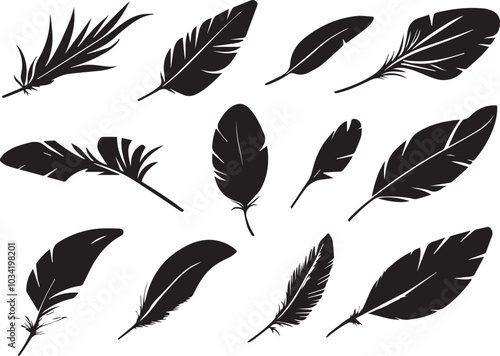 Set of bird feathers on a white background, line art, feather silhouettes.