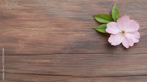 Delicate pink cherry blossom on rustic wooden surface with fresh green leaves arrangement photo