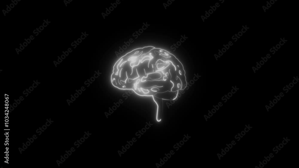 Glowing neon Brain icon isolated on black background. Neon brain icon animation Glowing neon Brain icon isolated on black background. Neon brain icon animation