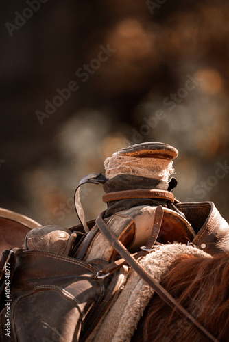 closeup of rustic western saddle with saddle horn photo