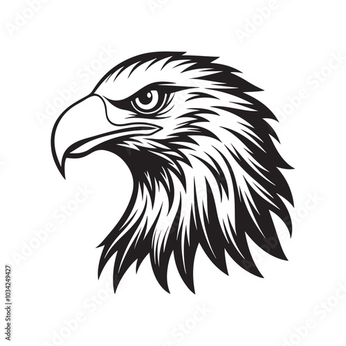 eagle head silhouette vector, black and white silhouette, vector and illustration, black and white