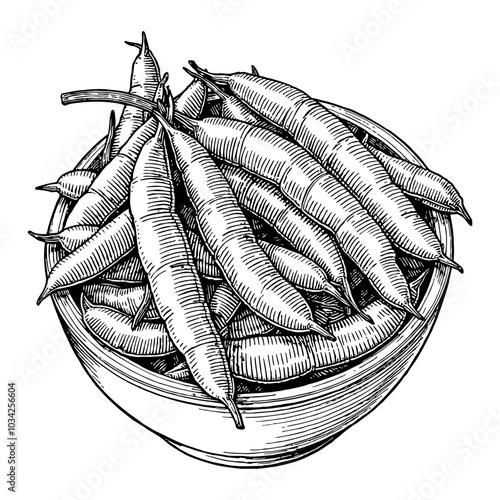Edamame Bowl in Intricate Black and White Outline Line Art Drawing from Top View