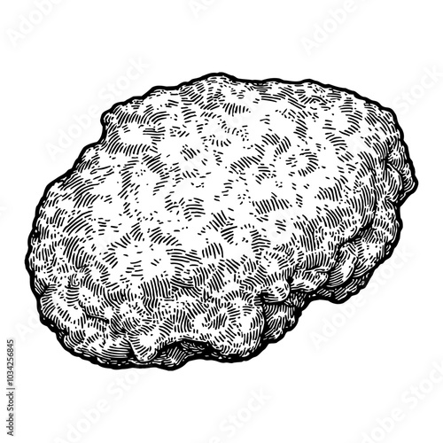 Fried Chicken Nugget in Vintage Style Black and White Outline Line Art Drawing Perspective View