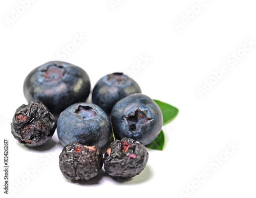 Frische und getrocknete Heidelbeeren vor weißem Hintergrund photo