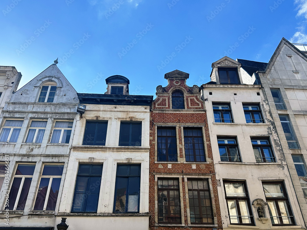Obraz premium Romantic Facades of Brugge: Exploring Belgium's Medieval Architecture and Picturesque Brick Houses