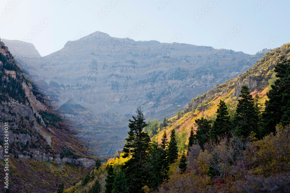 Obraz premium A misty mountain, Fall season on a mountain, Fall colors and a misty mountain, Fall colors on a slope, colorful mountain, Utah mountains in the Fall