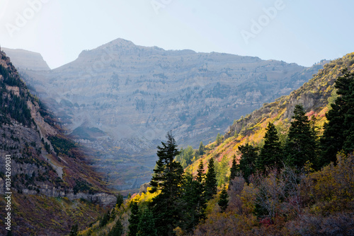 Wallpaper Mural A misty mountain, Fall season on a mountain, Fall colors and a misty mountain, Fall colors on a slope, colorful mountain, Utah mountains in the Fall  Torontodigital.ca