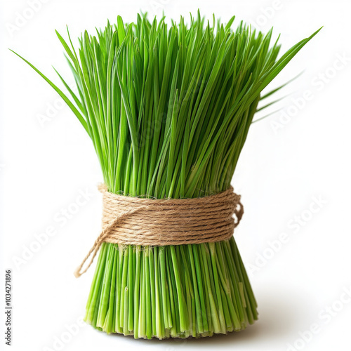 Lemon Grass Isolated