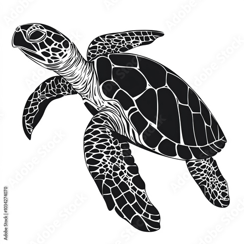Sea Turtle Silhouette, Illu...