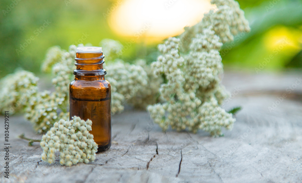 Yarrow extract in a bottle. Selective focus. Yarrow extract in a bottle. Selective focus.