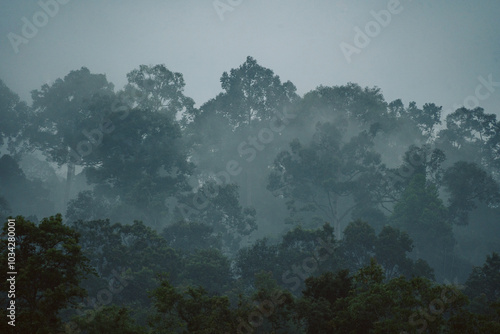 In the morning fog of the tropical rainforest, mist curled around wild green plants and trees, creating a mystical landscape that showcased nature's vibrant beauty in the jungle.