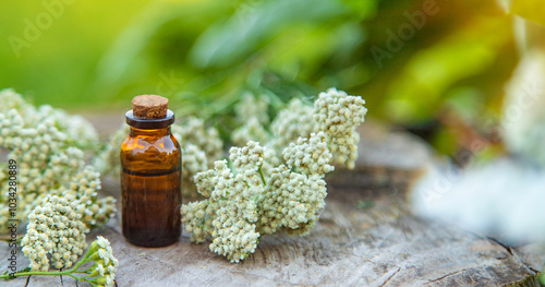 Yarrow extract in a bottle. Selective focus. photo