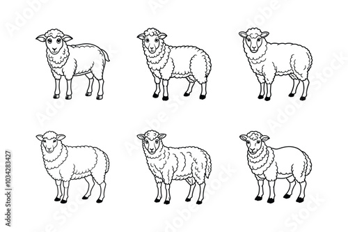 Sheep lineout sets icon illustration on white and black background.	