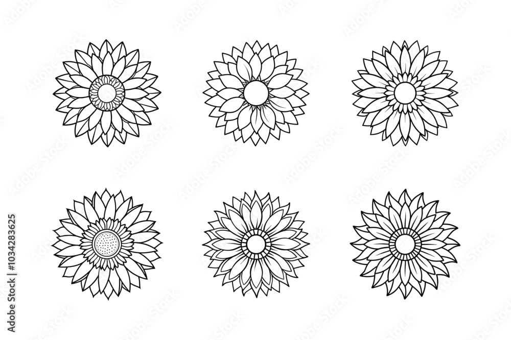 Outlined sunflower sets icon vector illustration on white background. Outlined sunflower sets icon vector illustration on white background.