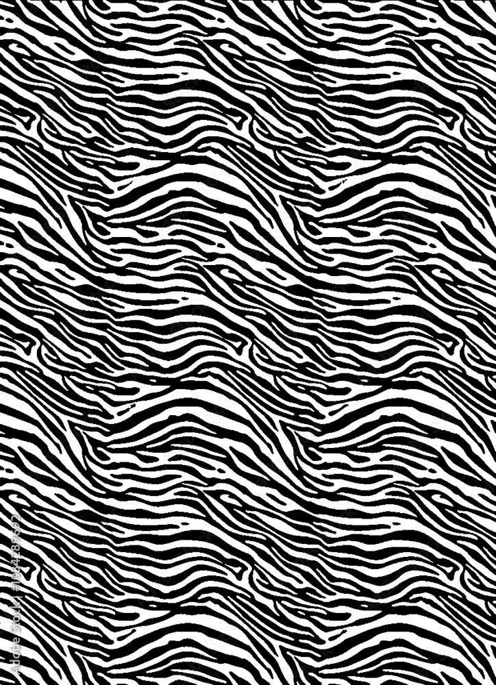Zebra pattern, abstract, new, innovation, design Zebra pattern, abstract, new, innovation, design